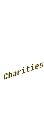 Noshember Charities